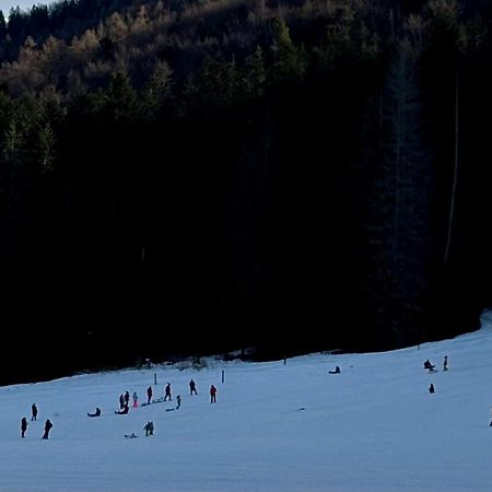Willa Na Potoku Zakopane Eksteriør billede