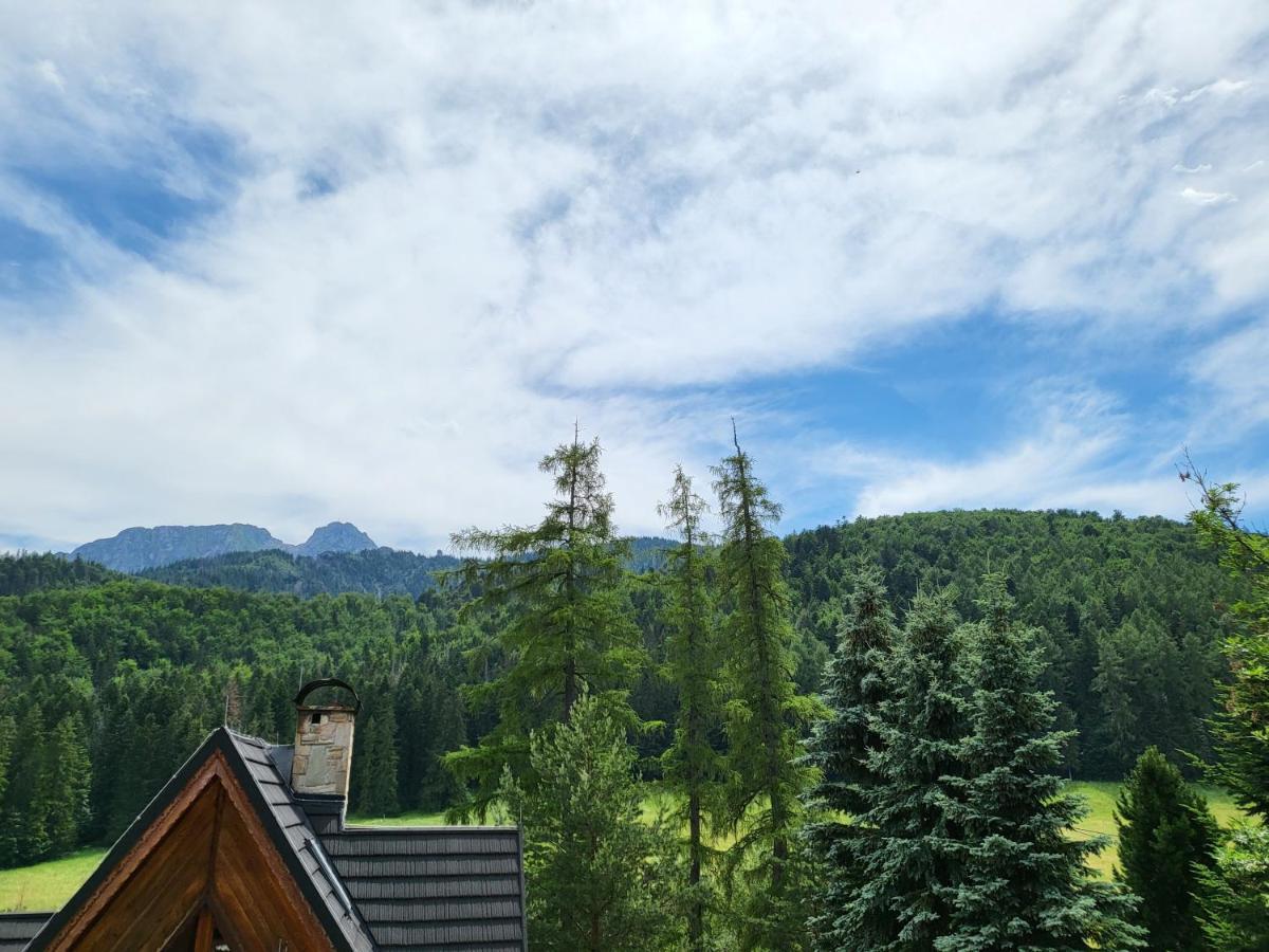 Willa Na Potoku Zakopane Eksteriør billede